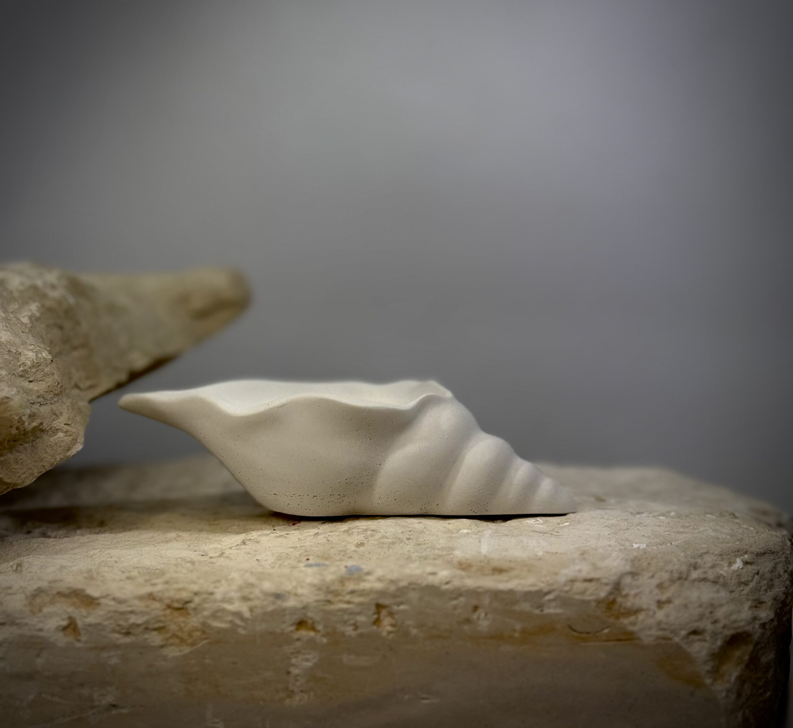 Seashell Whisper - Image 2